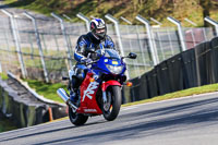 Oulton-Park-20th-March-2020;PJ-Motorsport-Photography-2020;anglesey;brands-hatch;cadwell-park;croft;donington-park;enduro-digital-images;event-digital-images;eventdigitalimages;mallory;no-limits;oulton-park;peter-wileman-photography;racing-digital-images;silverstone;snetterton;trackday-digital-images;trackday-photos;vmcc-banbury-run;welsh-2-day-enduro